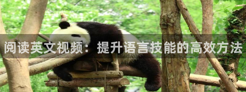 尊龙官网下载招商电话号码是多少号：阅读英文视频：提升