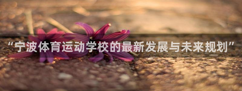 尊龙官方平台体育：“宁波体育运动学校的最新发展与未来