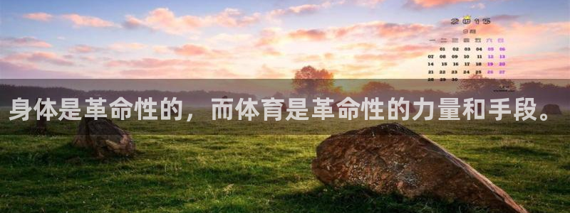尊龙官方正版app新能源：身体是革命性的，而体育是革