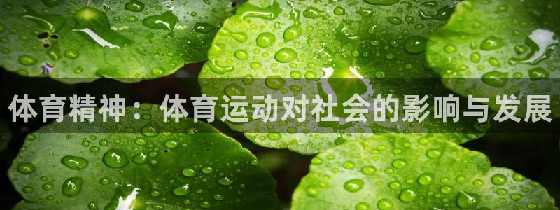 尊龙官网下载软件：体育精神：体育运动对社会的影响与发展