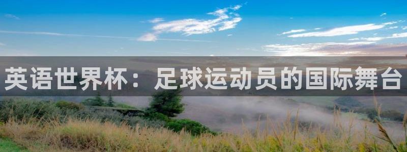 尊龙官网下载平台是正规平台吗知乎：英语世界杯：足球运