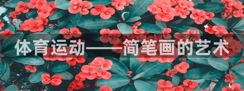 尊龙官网下载招商电话号码是多少啊：体育运动——简笔画