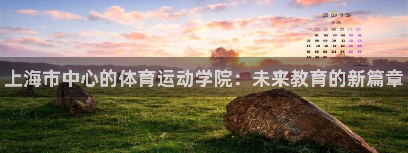 尊龙官方正版app集团官网网址：上海市中心的体育运动学院：未