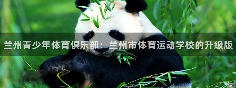 尊龙官网下载招商电话地址查询：兰州青少年体育俱乐部：兰州市体
