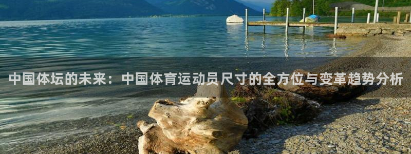 尊龙官方正版app娱乐首页官网下载：中国体坛的未来：