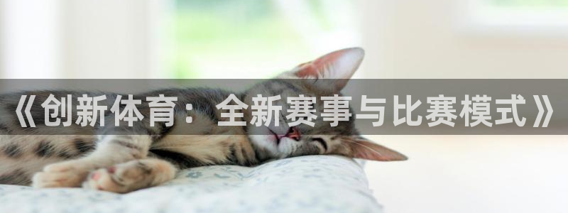 尊龙官网下载开户：《创新体育：全新赛事与比赛模式》