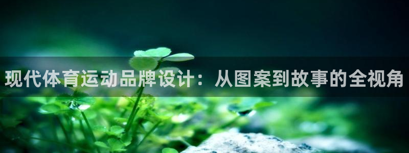 尊龙官方集团官网：现代体育运动品牌设计：从图案到故事