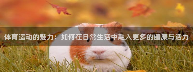 尊龙官网下载招商：体育运动的魅力：如何在日常生活中融