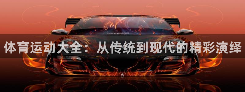 尊龙官网下载招商电话：体育运动大全：从传统到现代的精