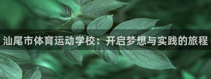 尊龙官网下载开户：汕尾市体育运动学校：开启梦想与实践