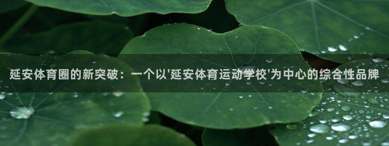 尊龙官方正版app娱乐平台：延安体育圈的新突破：一个