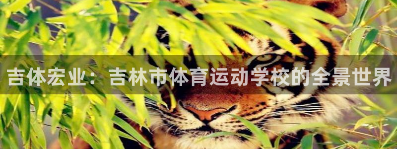 尊龙官方正版app娱乐代理怎么样：吉体宏业：吉林市体育运动学