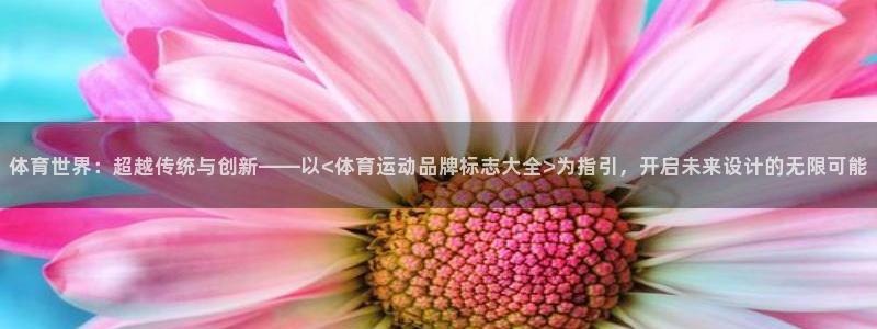 尊龙官网下载招商电话地址：体育世界：超越传统与创新—