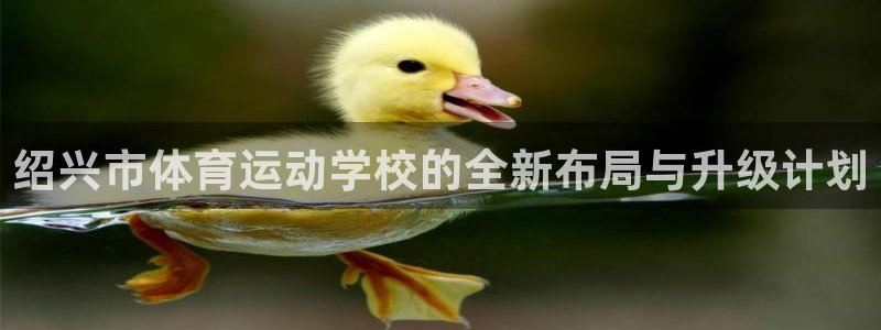 尊龙官网下载平台注册流程图：绍兴市体育运动学校的全新