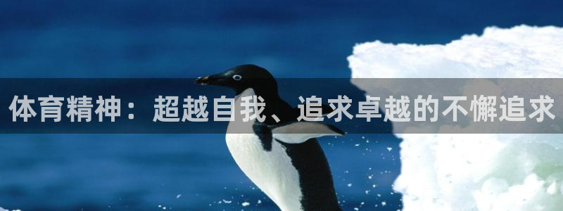 尊龙官方正版app科技：体育精神：超越自我、追求卓越