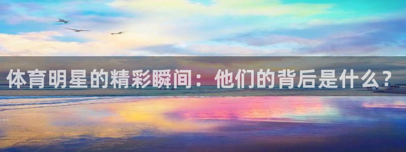 尊龙官网下载平台是正规平台吗：体育明星的精彩瞬间：他们的背后
