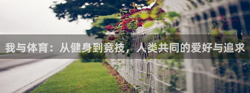尊龙官方正版app娱乐