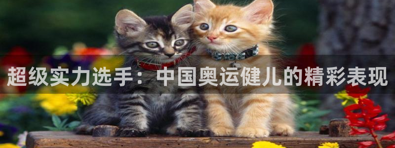 尊龙官方正版app娱乐是那个系列的台子：超级实力选手：中国奥