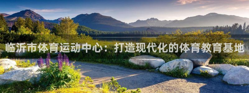 尊龙官网下载注册：临沂市体育运动中心：打造现代化的体