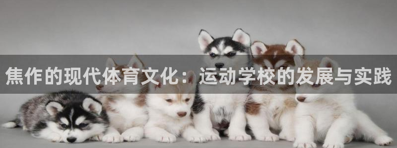 尊龙d88：焦作的现代体育文化：运动学校的发展与实践