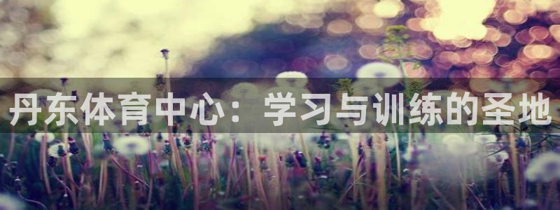 下载尊龙app苹果：丹东体育中心：学习与训练的圣地