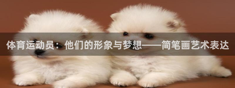  尊龙凯发app：体育运动员：他们的形象与梦想——简笔画艺术表