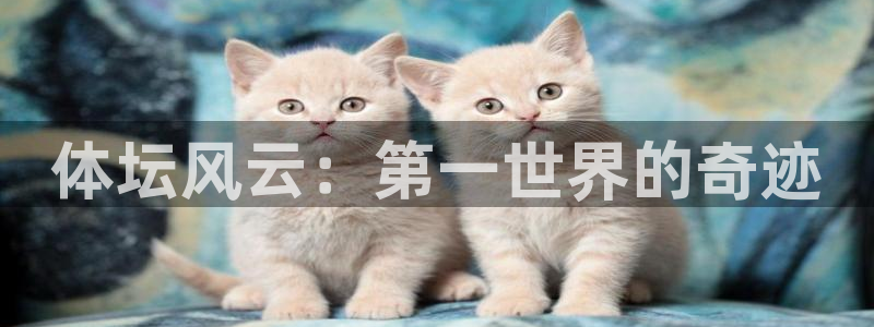 尊龙凯时关闭游戏账号多久恢复好：体坛风云：第一世界的奇迹
