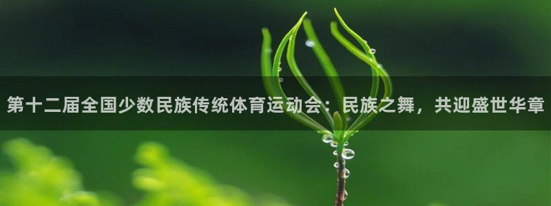  尊龙凯时d5138：第十二届全国少数民族传统体育运动会：民族