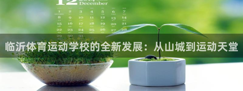 ag尊龙凯时中国官网：临沂体育运动学校的全新发展：从山城到运